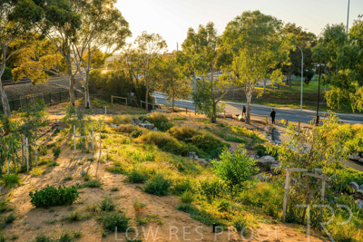 June 2025 / YIPTI-Landscaping_333