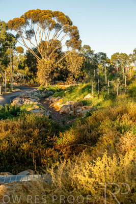 June 2025 / YIPTI-Landscaping_335