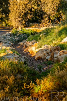 June 2025 / YIPTI-Landscaping_336