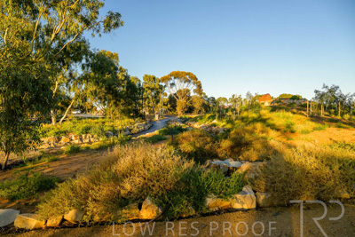 June 2025 / YIPTI-Landscaping_337