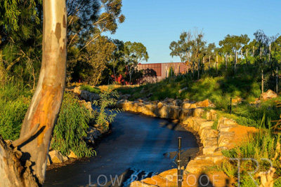 June 2025 / YIPTI-Landscaping_338