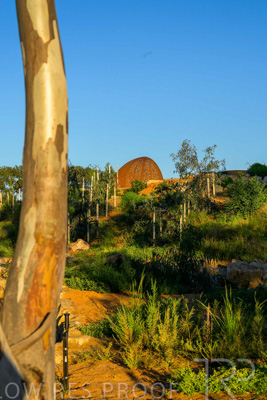 June 2025 / YIPTI-Landscaping_339