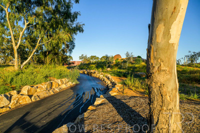 June 2025 / YIPTI-Landscaping_340