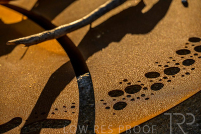 June 2025 / YIPTI-Landscaping_358