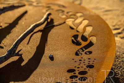 June 2025 / YIPTI-Landscaping_359