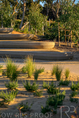 June 2025 / YIPTI-Landscaping_362