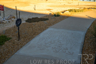 June 2025 / YIPTI-Landscaping_379