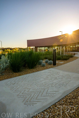 June 2025 / YIPTI-Landscaping_383