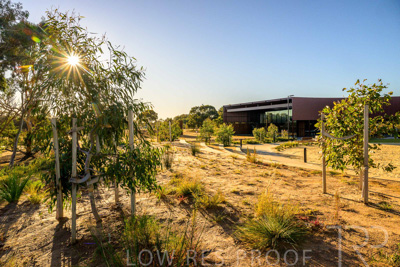 June 2025 / YIPTI-Landscaping_396