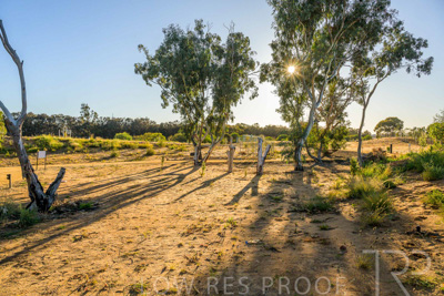 June 2025 / YIPTI-Landscaping_402