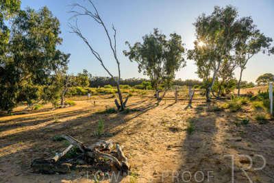 June 2025 / YIPTI-Landscaping_403