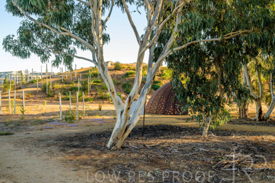 June 2025 / YIPTI-Landscaping_404