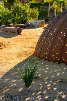 June 2025 / YIPTI-Landscaping_413