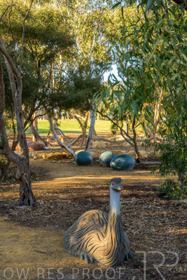 June 2025 / YIPTI-Landscaping_432