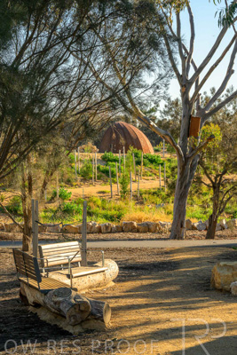 June 2025 / YIPTI-Landscaping_435