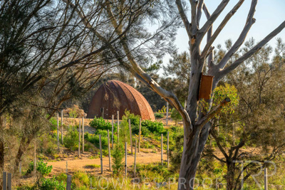 June 2025 / YIPTI-Landscaping_436