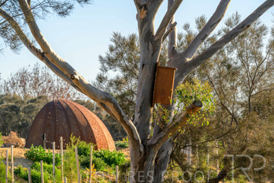 June 2025 / YIPTI-Landscaping_437