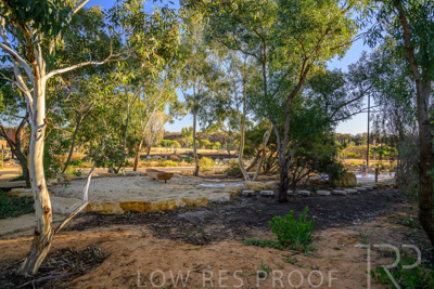 June 2025 / YIPTI-Landscaping_440