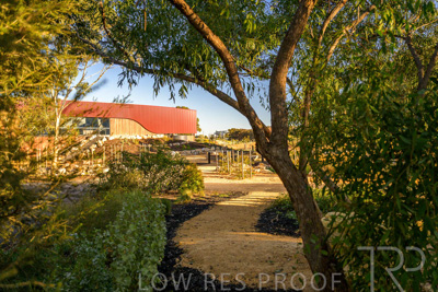 June 2025 / YIPTI-Landscaping_443