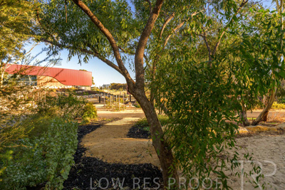 June 2025 / YIPTI-Landscaping_444