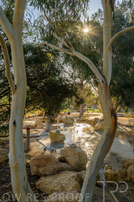 June 2025 / YIPTI-Landscaping_447