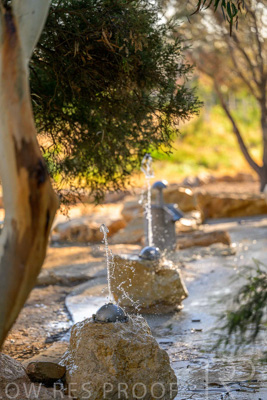 June 2025 / YIPTI-Landscaping_449