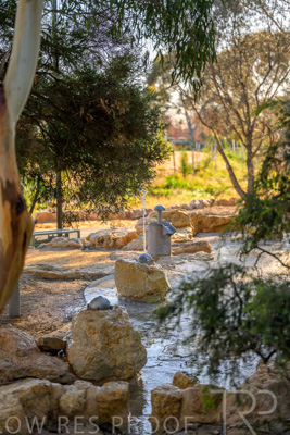 June 2025 / YIPTI-Landscaping_451