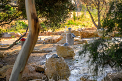 June 2025 / YIPTI-Landscaping_452