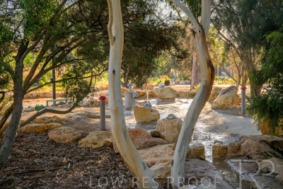 June 2025 / YIPTI-Landscaping_453