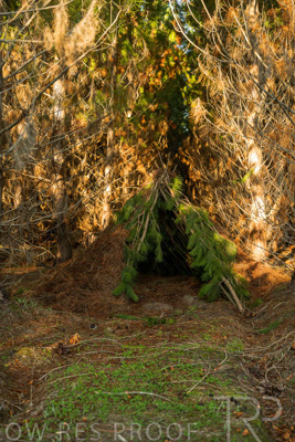 July 2025 / KUIPTO-250702-_Z8C6412