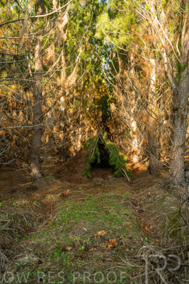 July 2025 / KUIPTO-250702-_Z8C6414