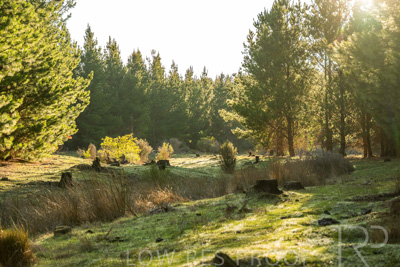 July 2025 / KUIPTO-250702-_Z8C6416