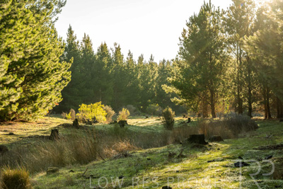 July 2025 / KUIPTO-250702-_Z8C6418