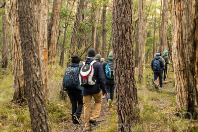 July 2025 / KUIPTO-250702-_Z9C5703