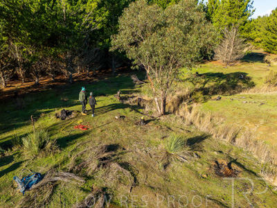 July 2025 / KUIPTO_010