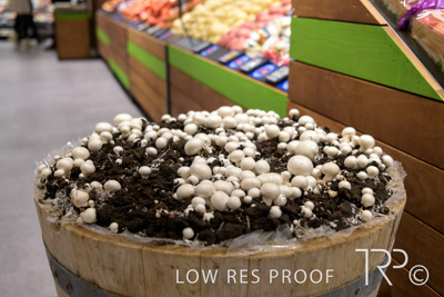 July 2025 / Woolworths-Port-Adelaide_250723_125