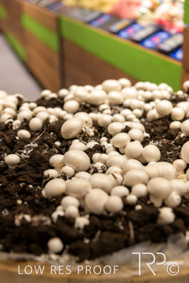 July 2025 / Woolworths-Port-Adelaide_250723_128