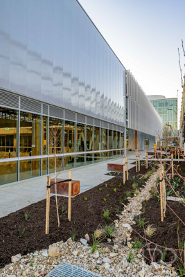 July 2025 / TONSLEY-Exteriors-Z9-brkts_250731-_Z9C8271