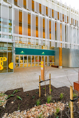 July 2025 / TONSLEY-Exteriors-Z9-brkts_250731-_Z9C8289