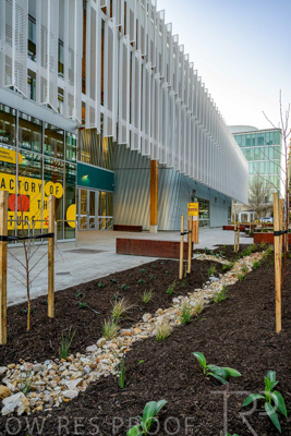 July 2025 / TONSLEY-Exteriors-Z9-brkts_250731-_Z9C8328