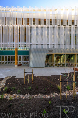 July 2025 / TONSLEY-Exteriors-Z9-brkts_250731-_Z9C8604