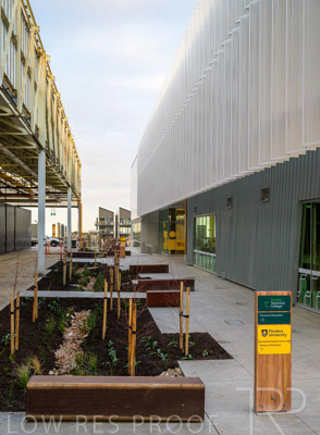 July 2025 / TONSLEY-Exteriors-Z9_250730-_Z9C7065