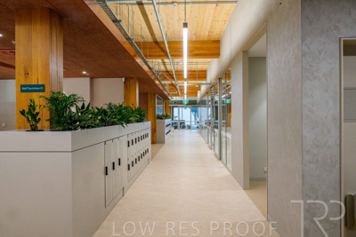 July 2025 / TONSLEY-Interiors-TC-GF-250730-7151