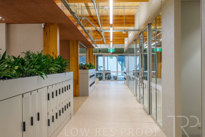 July 2025 / TONSLEY-Interiors-TC-GF-250730-7156