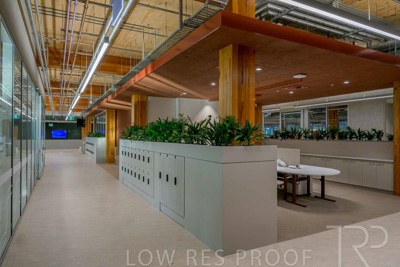 July 2025 / TONSLEY-Interiors-TC-GF-250730-8761