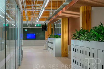 July 2025 / TONSLEY-Interiors-TC-GF-250730-8771