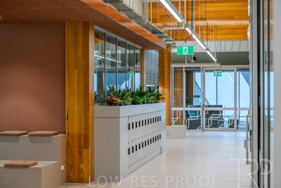 July 2025 / TONSLEY-Interiors-TC-GF-250730-8842