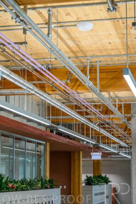 July 2025 / TONSLEY-Interiors-TC-GF-250730-8881