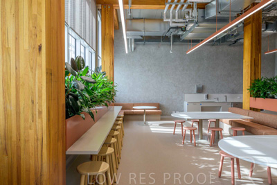 July 2025 / TONSLEY-Interiors-TC-L1-250730-7922