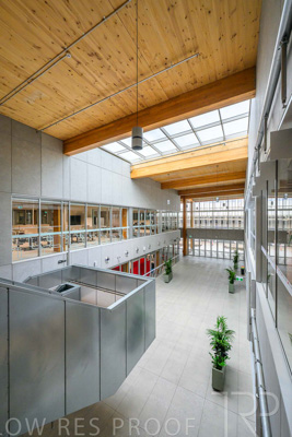 July 2025 / TONSLEY-Interiors-TC-L1-250730-8953